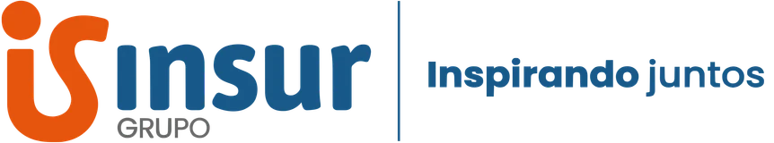 Grupo Insur logo