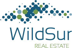 WildSur logo