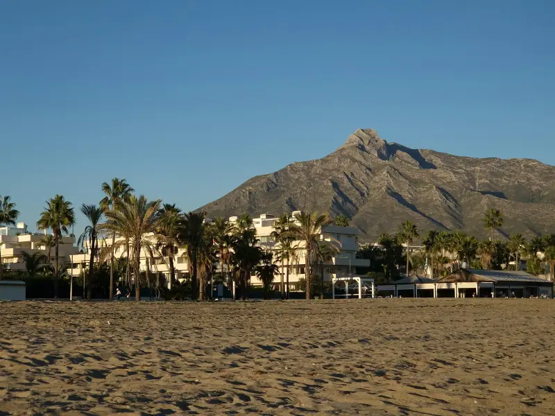 Beach in Marbella with palm trees and La Concha mountain behind
